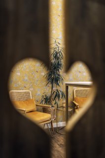 Salon Bilder